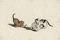 Playful kittens - A. Lamy
