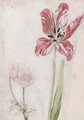 A tulip and anemones - Lady Edward Fitzgerald