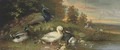 Ducks and a peacock on the banks of a river at dusk - Julius Scheuerer