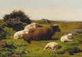 A sheep and lambs resting in a moorland landscape - Juliette Peyrol Bonheur