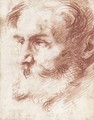 Head of a bearded man, looking to the left 2 - Jusepe de Ribera
