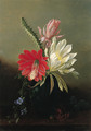Blooming Cactus - Juan Buckingham Wandesforde