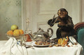 A mischiveous monkey - Jules Guerin