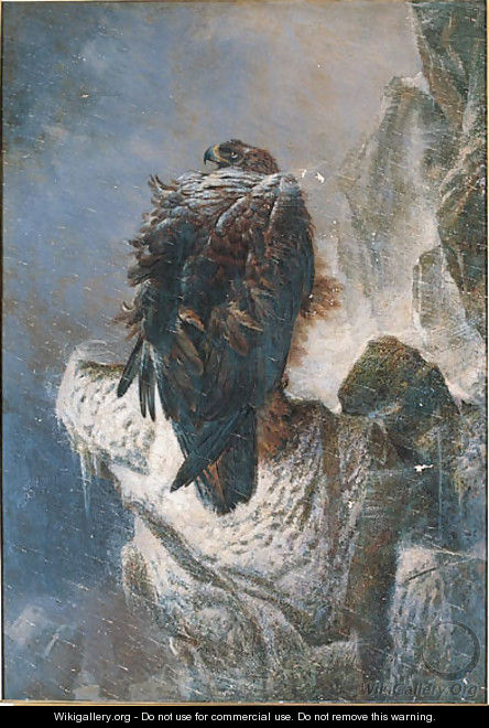 The Proud Bird of the Mountain - Joseph Wolf