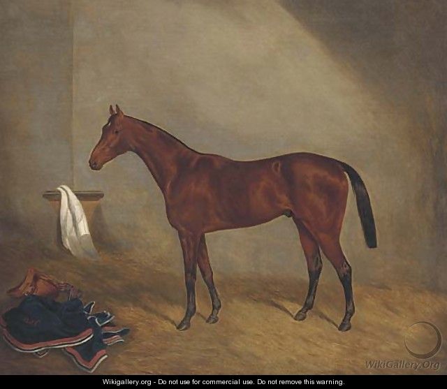 A bay racehorse in a stable - Joshua Dighton