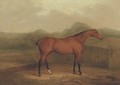 A chestnut racehorse in a landscape - James Barenger