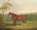 A bay carriage horse - James Barenger