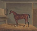 A bay racehorse in a stable - James Loder