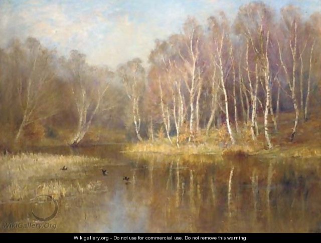 The mirror of the woods - James Herbert Snell