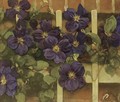 Clematis tegen hekwerk flowering Clematis - Jacobus Van Looy