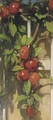 Apples on a trellis - Jacobus Van Looy