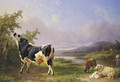 Boeufs et moutons au paturage - Jacques-Raymond Brascassat