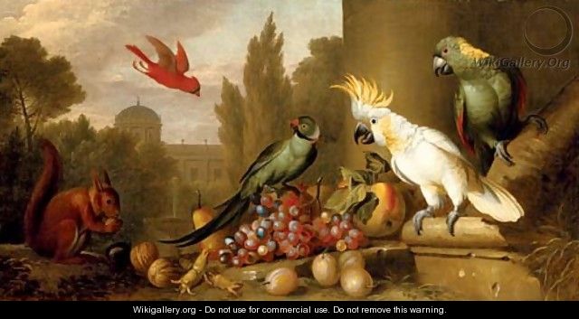 A Cardinal, a Plum-Headed Parakeet, a Lesser Sulphur-Crested Cockatoo, a Yellow-Naped Amazon - Jakob Bogdani Eperjes C