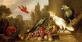 A Cardinal, a Plum-Headed Parakeet, a Lesser Sulphur-Crested Cockatoo, a Yellow-Naped Amazon - Jakob Bogdani Eperjes C