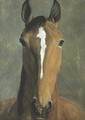 Head of a bay horse - Jacques Laurent Agasse
