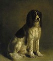 A springer spaniel - Jacques Laurent Agasse