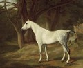 A grey hunter in a wooded landscape - Jacques Laurent Agasse