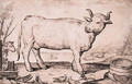 A Cow - Jacob Matham