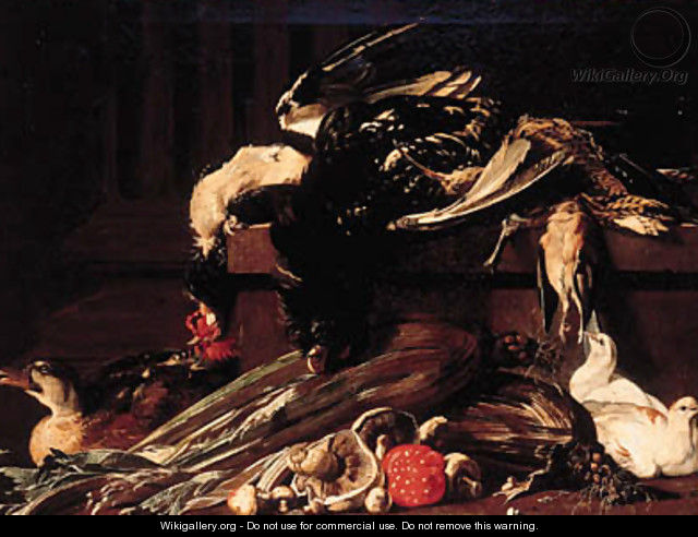 A dead cockerel and snipe and other birds on a ledge with doves - Jacob van der (Giacomo da Castello) Kerckhoven