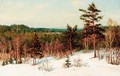 Winter - View over the Forest - Ivan Fedorovich Choultse