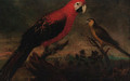 A scarlet macaw and a parrot in a landscape - Italian School