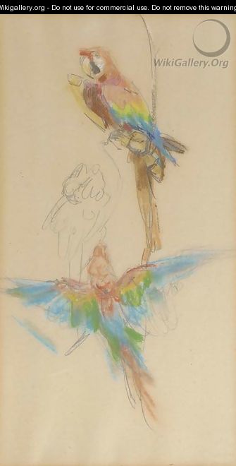 Colourful parrots from Artis Zoo - Isaac Israels