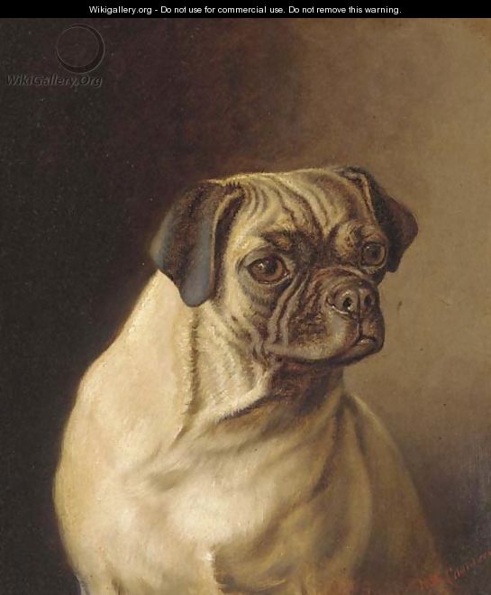 A pug - Horatio Henry Couldery