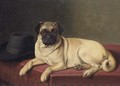 Waiting for Master - A pug on a stool - Horatio Henry Couldery