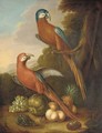 Two parrots, grapes, peaches, figs, a melon and a pineapple in a wooded landscape - Herman van der Myn