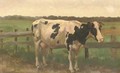 A cow in a meadow - Herman Gerhardus Wolbers