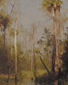 Florida Landscape 2 - Herman Herzog