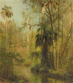 Edge of the Everglades - Herman Herzog