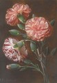 Carnations - Johan Laurentz Jensen