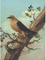 Bird On A Branch - Joham Matthias Wourzer