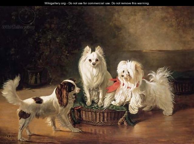 A Toy Spaniel, a Pomeranian and a Maltese Terrier at a Basket - Johann Friedrich Wilhelm Wegener