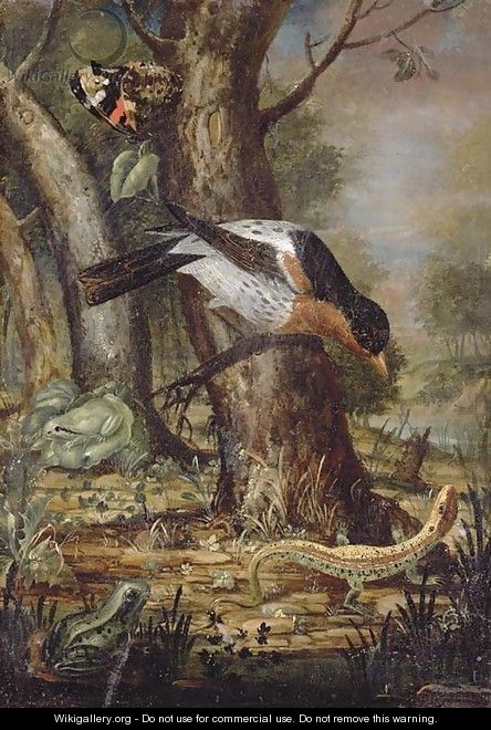 A forest-floor still life with a thrush on a branch, a lizard, a butterfly and two frogs - Johann-Adalbert Angermeyer