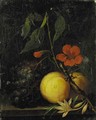 Grapes, peaches and a nasturtium, with a moth on a ledge - Johann Nepomuk Mayerhofer