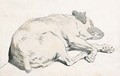 A sleeping dog - Theodore Gericault