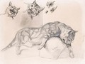 A cat, and three subsidiary studies of its head - Theodore Gericault