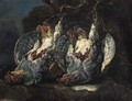 Dead partridges suspended from ropes on a tree in a forest - Jan Fyt