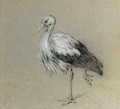 A stork standing on one leg - Jean-Baptiste Oudry