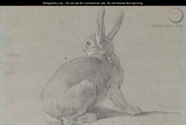 A hare looking back to the left - Jean-Baptiste Oudry
