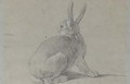 A hare looking back to the left - Jean-Baptiste Oudry