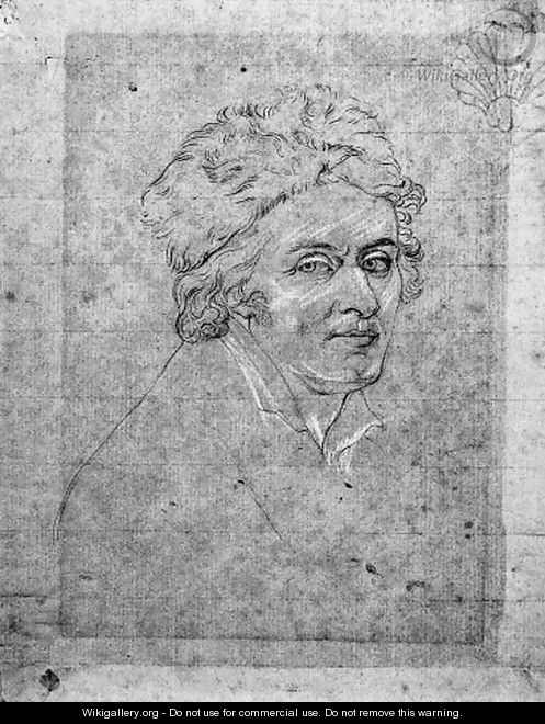 Portrait of Baron Dominique Vivant-Denon, wearing a fur hat - Jacques-Jean- Baptiste Augustin