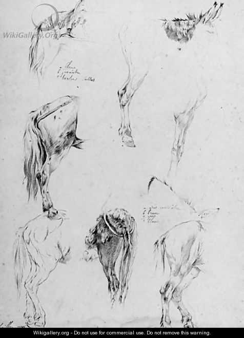 Two sheets of studies of a donkey - Jean-Franois Le Gillon