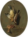 A trompe l'oeil of dead songbirds - Jean-Joseph-Xavier Bidauld