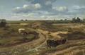 Cattle grazing by a sandy track in summer near Genck - Francois Roffiaen