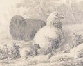 Sheep and a lamb in a meadow - Jan van der Meer