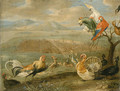 Untitled - Jan van Kessel