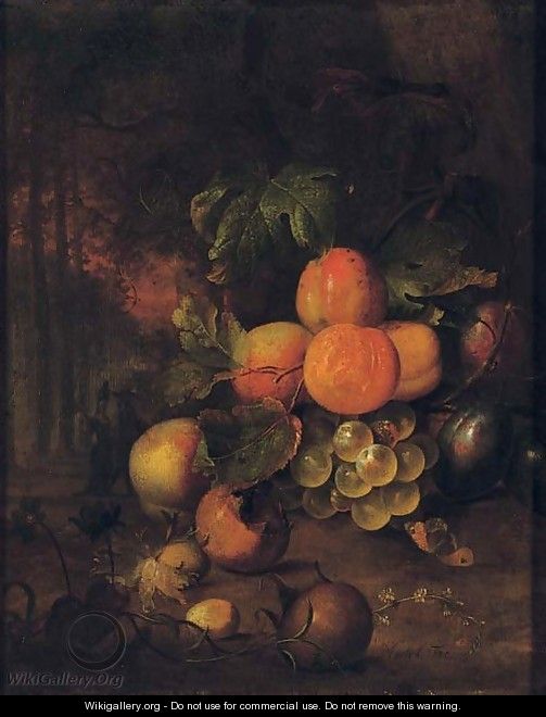 Peaches, plums, grapes, medlars and nuts in a wooded clearing with a butterfly - Jan Mortel